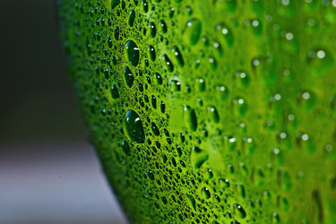 Similar image 10499666