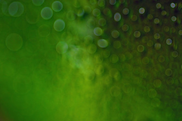 Similar image 10499668