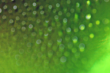 Similar image 10499670