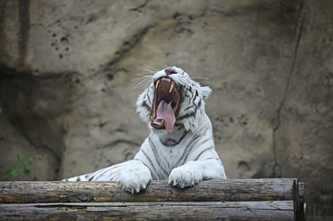 Similar image 10499672