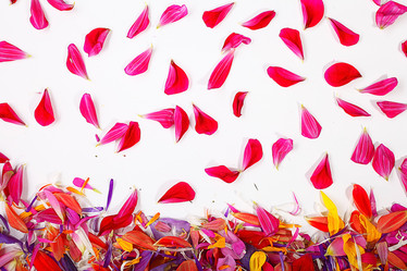 Similar image 10499682