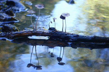 Similar image 10499687