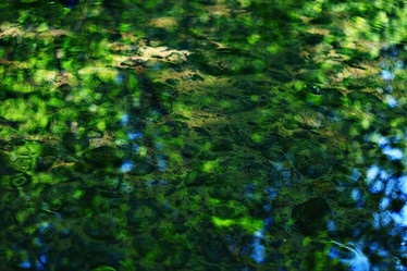 Similar image 10499691