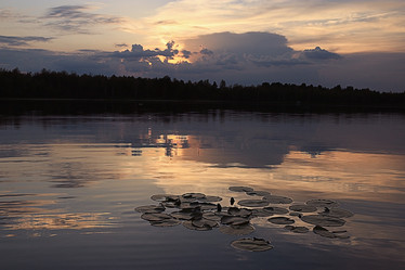 Similar image 10499694