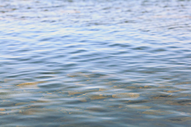 Similar image 10499697