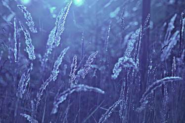 Similar image 10499709