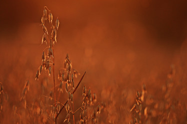 Similar image 10499710