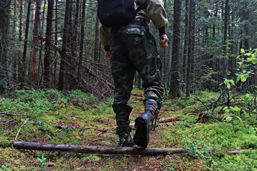 Similar image 10499714