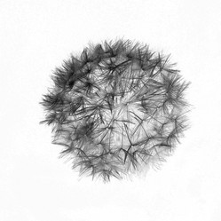 Similar image 10499721