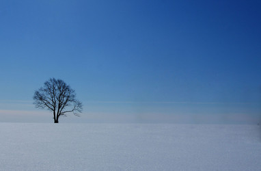 Similar image 10499734