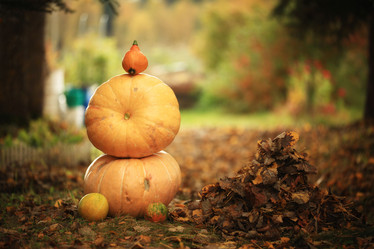 Similar image 10499736