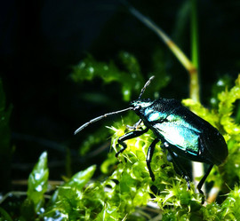 Similar image 10499737