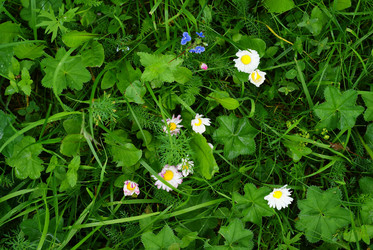 Similar image 10499739