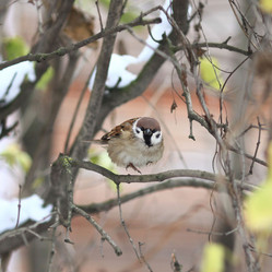 Similar image 10499740