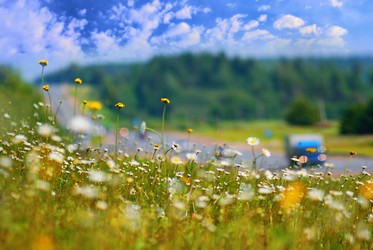 Similar image 10499741