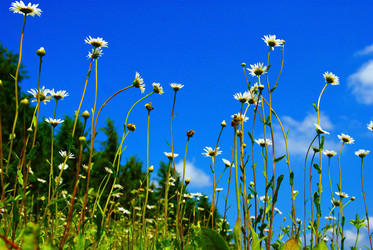 Similar image 10499743