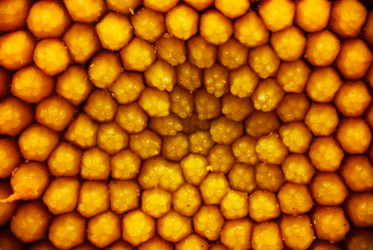 Similar image 10499745