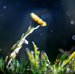 Similar image 10499746