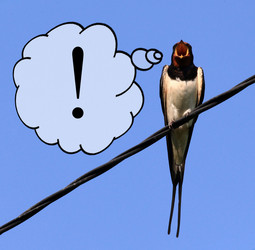 Similar image 10499747