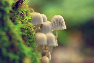 Similar image 10499751