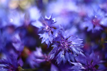 Similar image 10499755