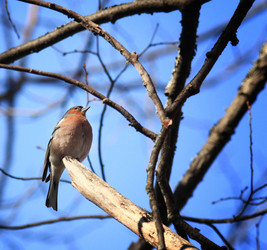 Similar image 10499758