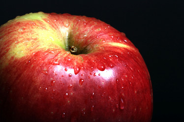 Similar image 10499768