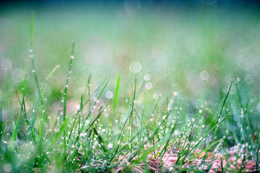 Similar image 10499769