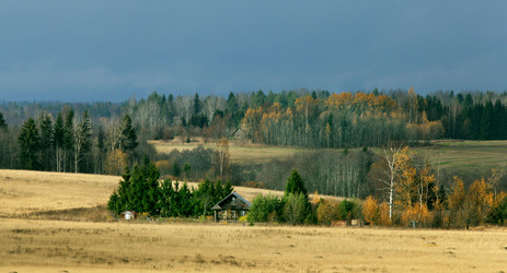 Similar image 10499778