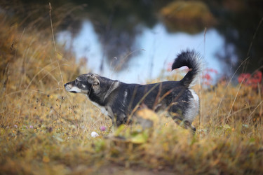 Similar image 10499782