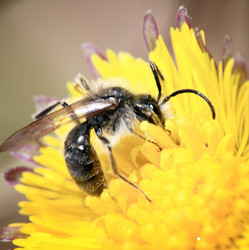 Similar image 10499784