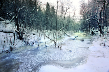 Similar image 10499787