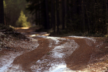 Similar image 10499792