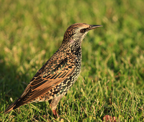 Similar image 10499795