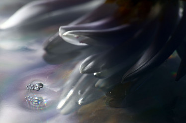 Similar image 10499802