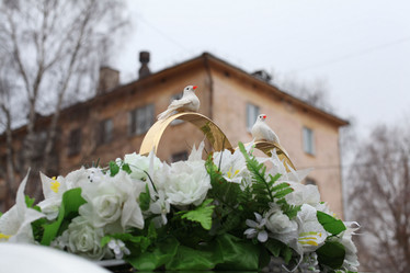 Similar image 10499804