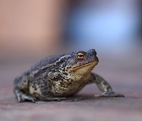 Similar image 10499805