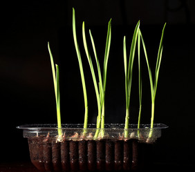 Similar image 10499807