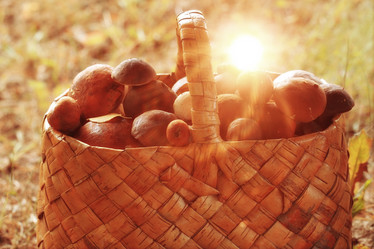 Similar image 10499814