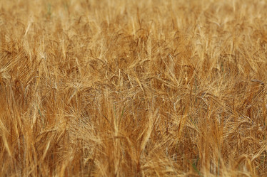 Similar image 10499815