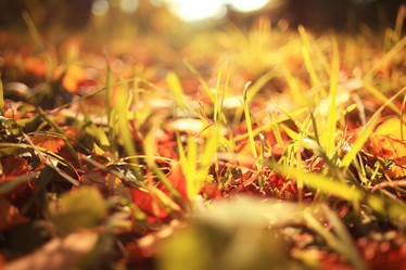 Similar image 10499820