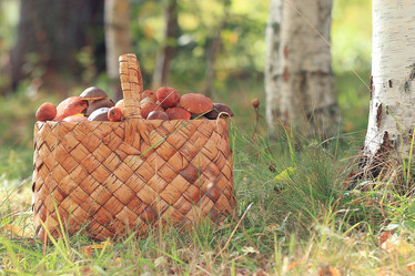 Similar image 10499821