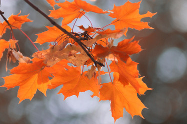 Similar image 10499823