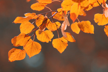 Similar image 10499834