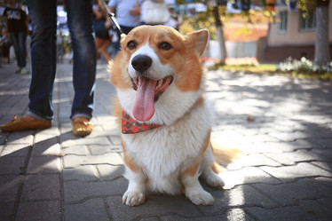 Similar image 10499835