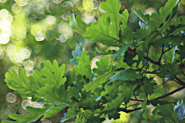 Similar image 10499842