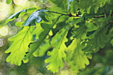 Similar image 10499844