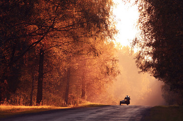 Similar image 10499848