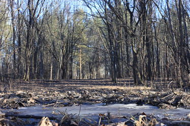 Similar image 10499855