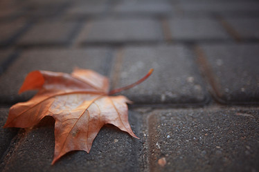 Similar image 10499856